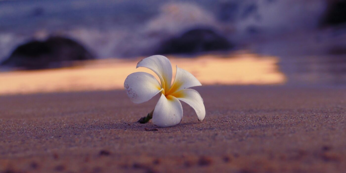 What It Actually Means to Do Business in the Spirit of Aloha